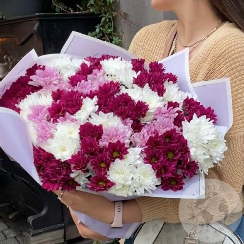 Букет из 31 бордовой, розовой, белой кустовой хризантемы в магазине Цветы Планеты