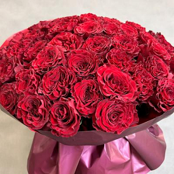 Букет красных роз Эквадор 25 шт. 60 см.