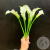 Каллы белые 7 шт.