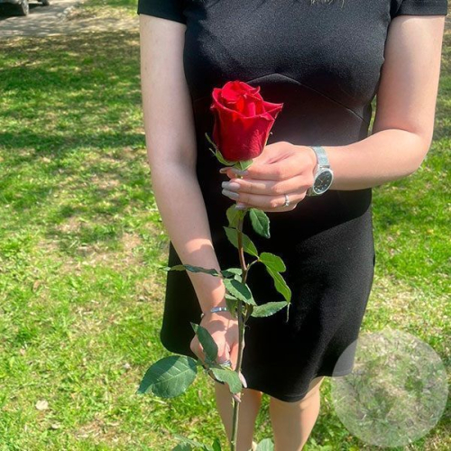 Роза красная 110 см. в магазине Цветы Планеты