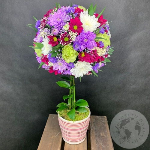 Букет из хризантем, роз в кашпо "Дерево" в магазине Цветы Планеты