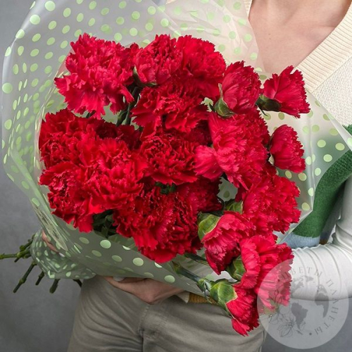 21 гвоздика красная 