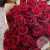 25 роз бордовых 60 см. в магазине Цветы Планеты