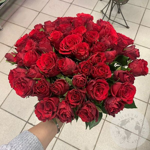 Букет красной розы 51 шт. 40 см. в магазине Цветы Планеты