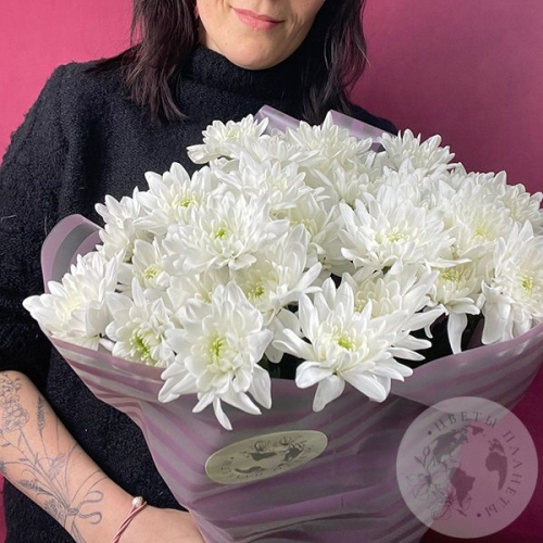 13 Хризантем кустовых белых