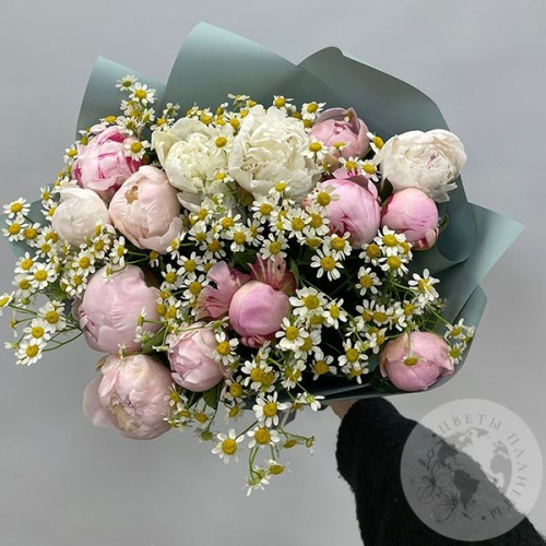 Букет из пионов и ромашек в магазине Цветы Планеты
