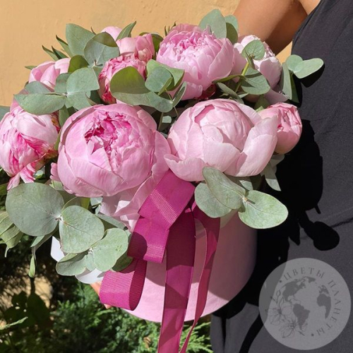 21 розовый пион Сара Бернар в шляпной коробке в магазине Цветы Планеты