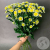 13 Сантини бело-желтых 13 Сантини бело-желтых в магазине Цветы Планеты