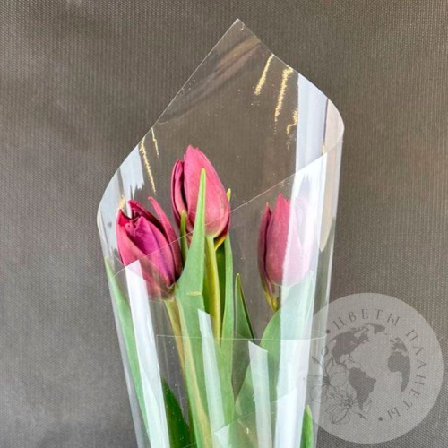 3 бордовых пионовидных тюльпана в магазине Цветы Планеты