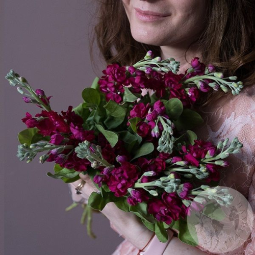 Маттиола красная 9 шт. в магазине Цветы Планеты