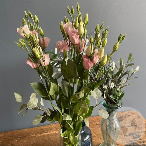 Эустома розовая 3 шт.