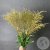 Солидаго Золото 7 шт. в магазине Цветы Планеты