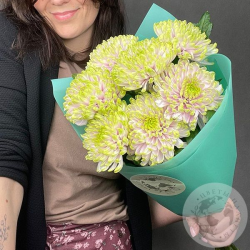 7 хризантем зеленых