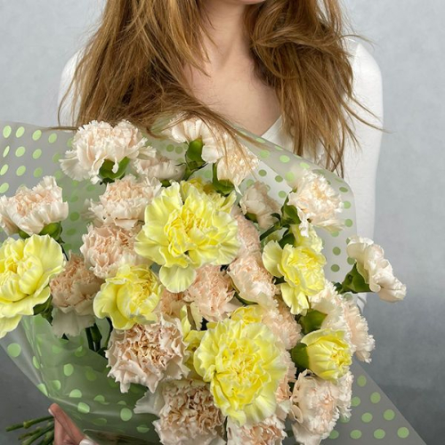 35 гвоздик MIX в магазине Цветы Планеты