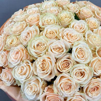 Букет из кремовых роз Эквадор 51 шт. 60 см.