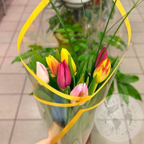 Букет из 7 тюльпанов mix в магазине Цветы Планеты