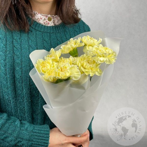 9 гвоздик желтых