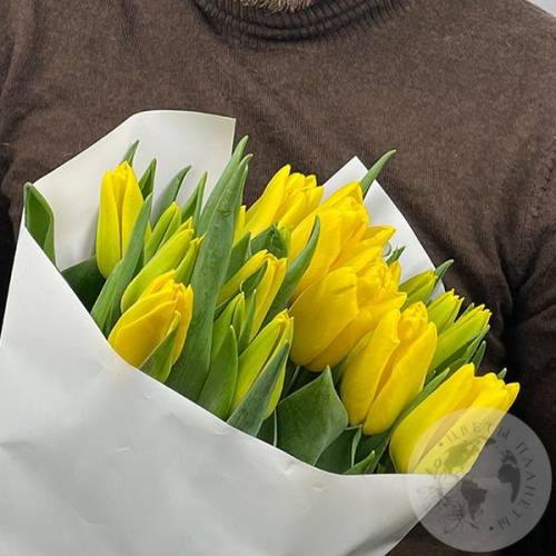9 тюльпанов желтых в магазине Цветы Планеты
