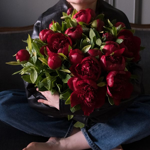 15 пионов бордовых в магазине Цветы Планеты