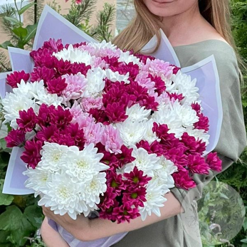 Букет из 31 бордовой, розовой, белой кустовой хризантемы в магазине Цветы Планеты