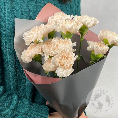 9 гвоздик персиковых