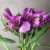 5 Альстромерий фиолетовых