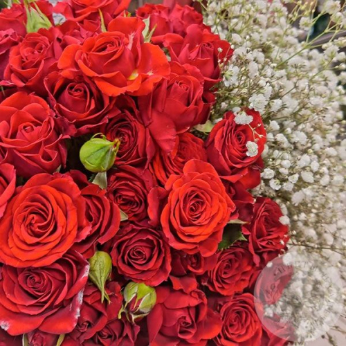 Букет из роз и гипсофилы "Любимой" в магазине Цветы Планеты