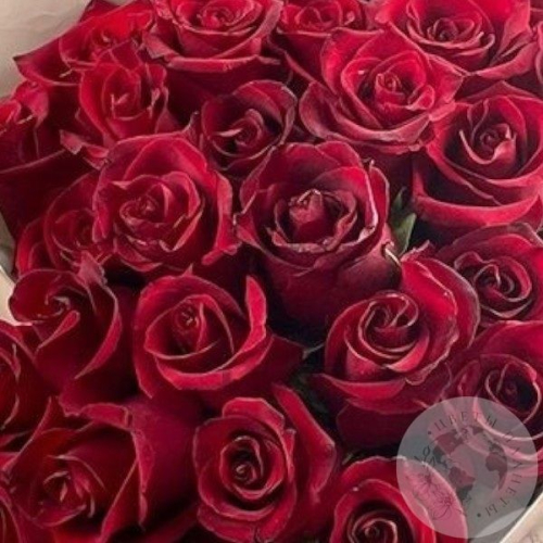 25 роз бордовых 60 см. в магазине Цветы Планеты
