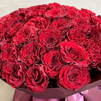 Букет красных роз Эквадор 25 шт. 70 см.