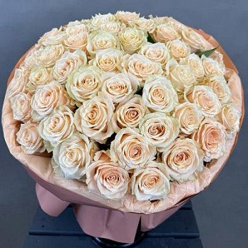 Букет из кремовых роз Эквадор 51 шт. 50 см.