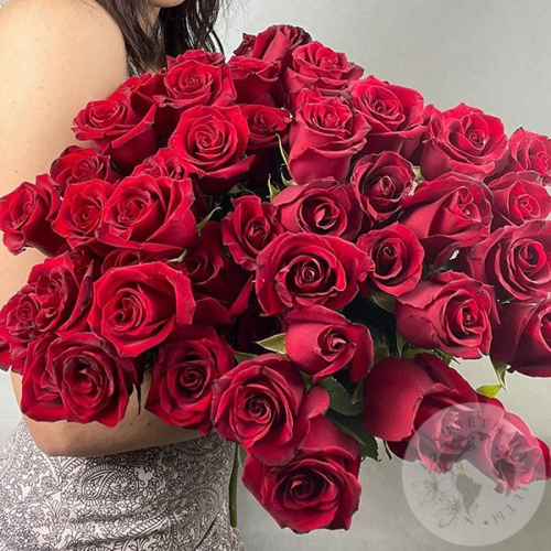 51 роза бордовая 60 см. в магазине Цветы Планеты