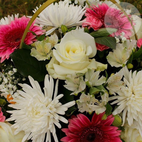 Композиция роз, хризантем и ромашек в корзине в магазине Цветы Планеты