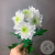 Хризантема кустовая бело-зеленая в магазине Цветы Планеты Хризантема кустовая бело-зеленая