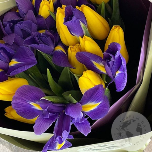 Букет из тюльпанов и ириса в магазине Цветы Планеты