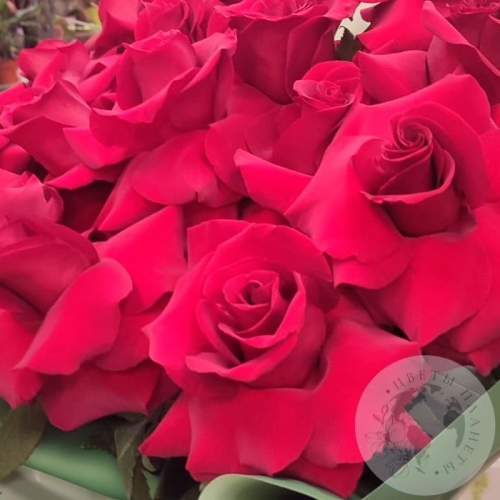 Букет из 15 французских роз в магазине Цветы Планеты