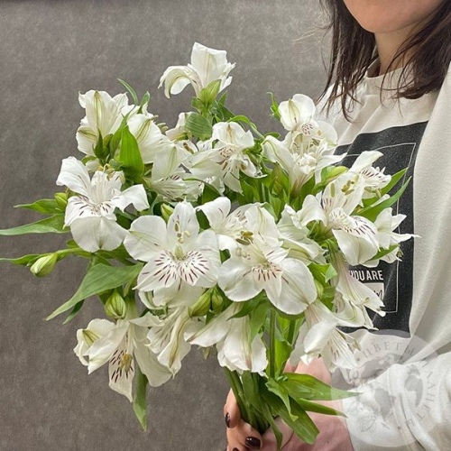 7 Альстромерий белых