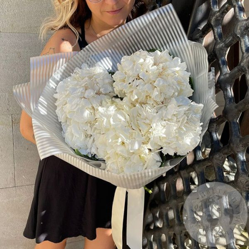 Букет из белой гортензии
