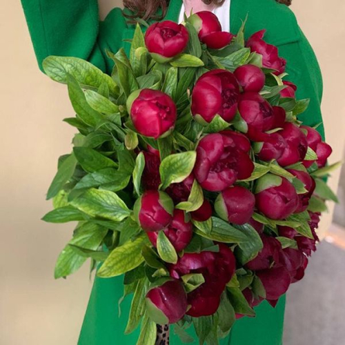 51 пион бордовый в магазине Цветы Планеты