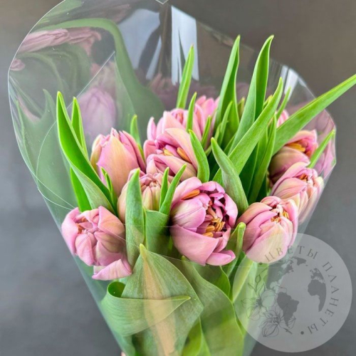 11 розовых пионовидных тюльпанов в магазине Цветы Планеты