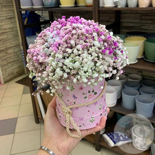 Букет гипсофил в коробке "Светлое чувство"