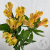 3 Альстромерии желтых в магазине Цветы Планеты 3 Альстромерии желтых