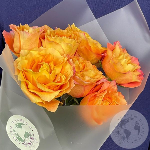 7 роз оранжевых 70 см в магазине Цветы Планеты