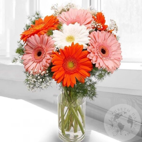 101 гербера МIХ