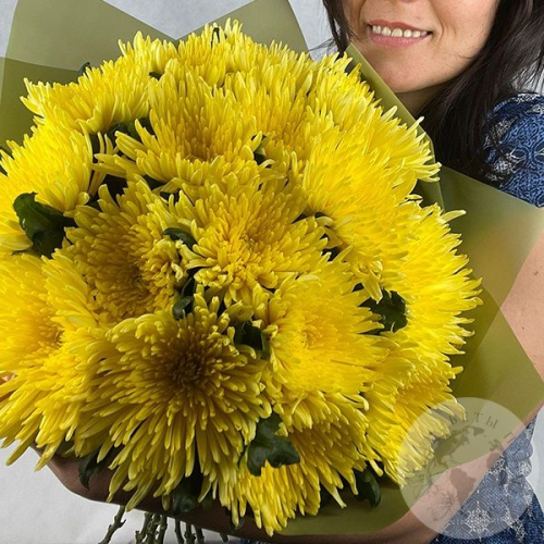 21 хризантема желтая