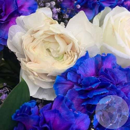 Букет из роз, гвоздики, гипсофилы  в ящике "Необычный" в магазине Цветы Планеты