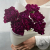7 гвоздик бордовых 7 гвоздик бордовых в магазине Цветы Планеты