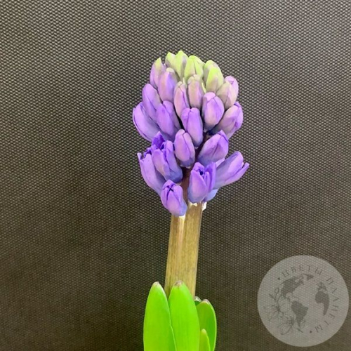 Гиацинт синий в магазине Цветы Планеты