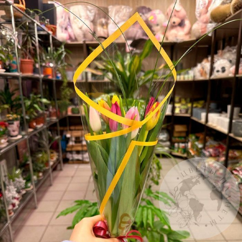 Букет из 7 тюльпанов mix в магазине Цветы Планеты