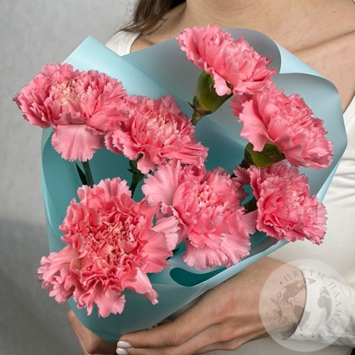 7 гвоздик розовых в магазине Цветы Планеты