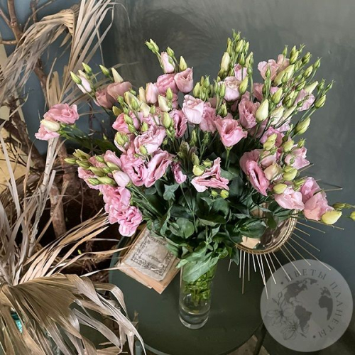 Эустома розовая 9 шт.